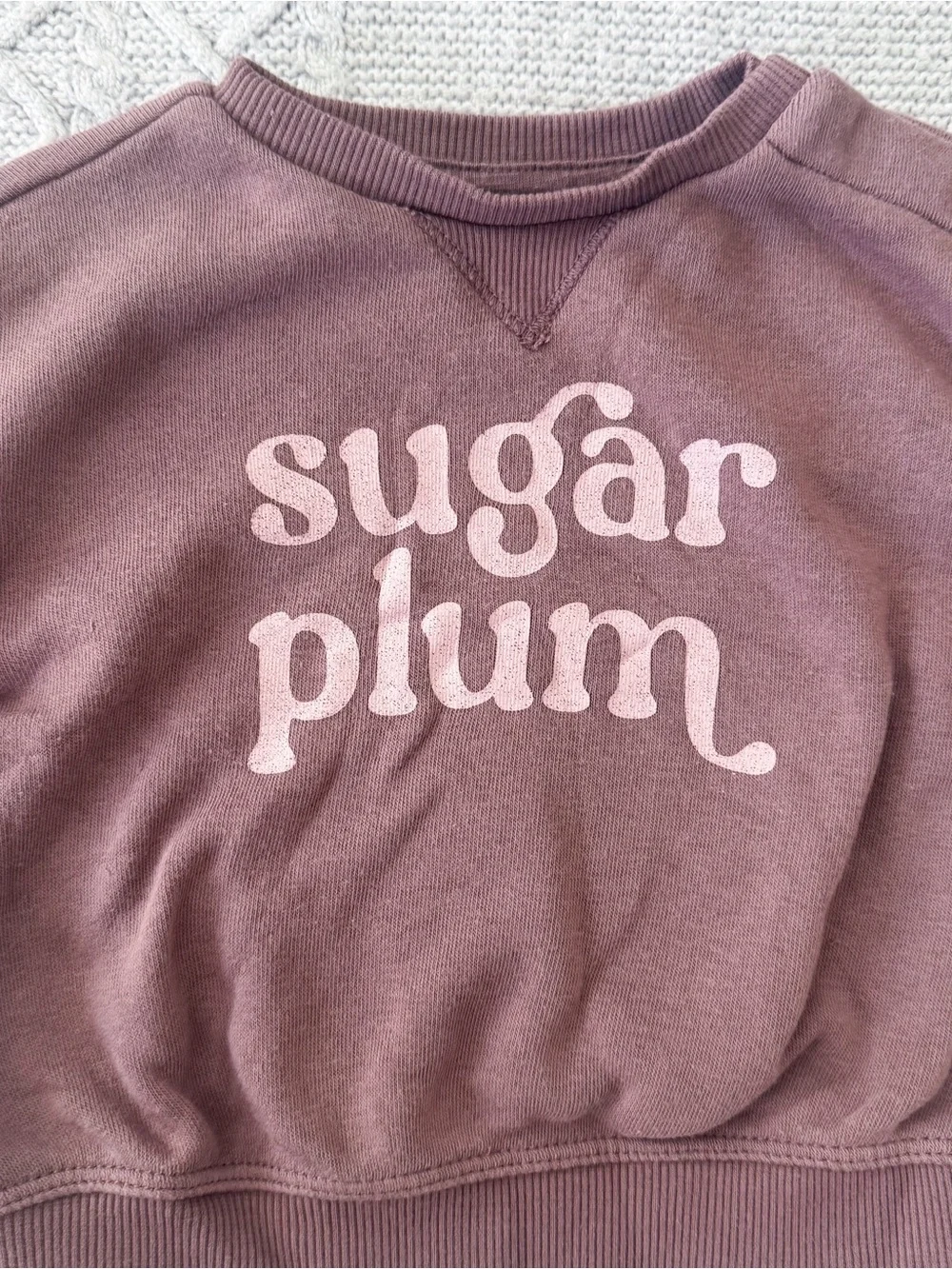 Little Co. PL Baby Girl Sugar Plum Cozy Sweatshirt Pants Set Ballet Pink 3M